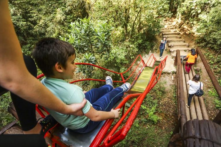 Bosque Reinhard Maack: programação gratuita pra criançada em meio à natureza em Curitiba