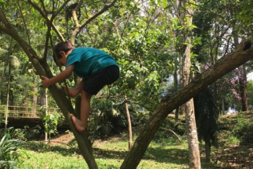 “Naturário 2021”: um calendário para preencher seus dias com natureza