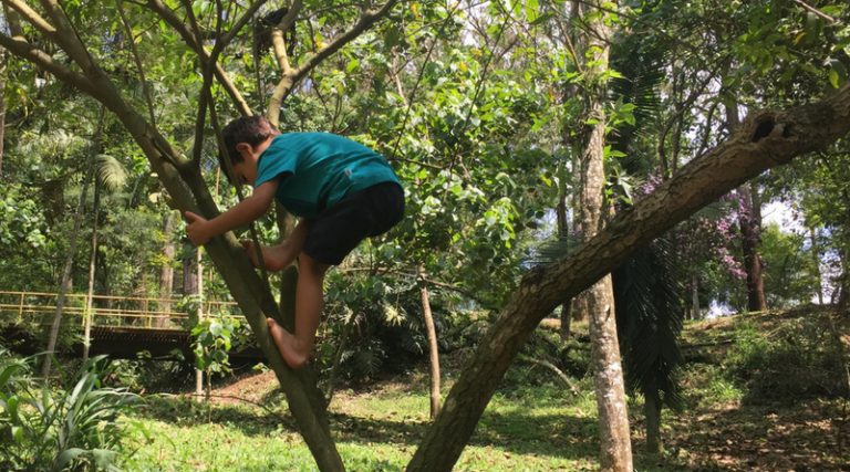 “Naturário 2021”: um calendário para preencher seus dias com natureza