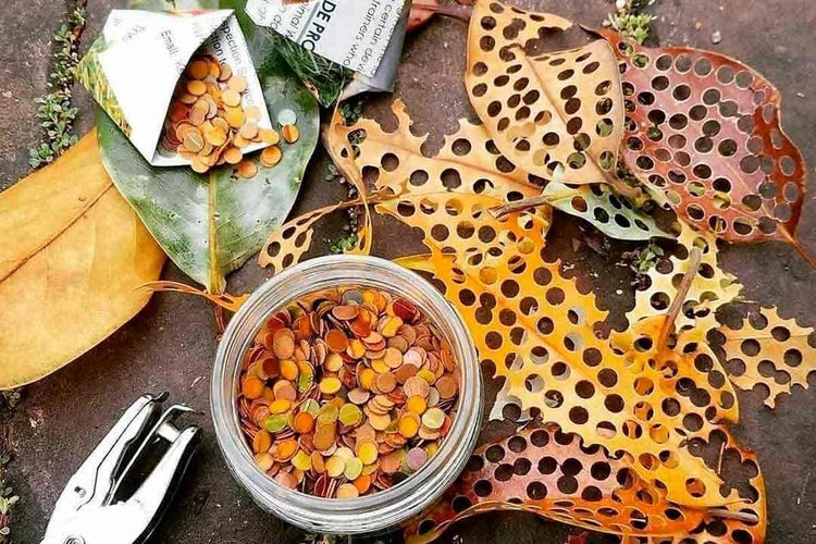 Confete ecológico: divirta-se sem prejudicar o meio ambiente