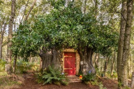 Casa na árvore do Ursinho Pooh poderá ser alugada na Inglaterra