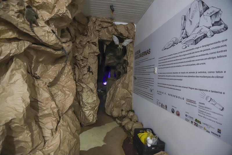 Museu de Curitiba simula o ambiente de uma caverna para pequenos exploradores
