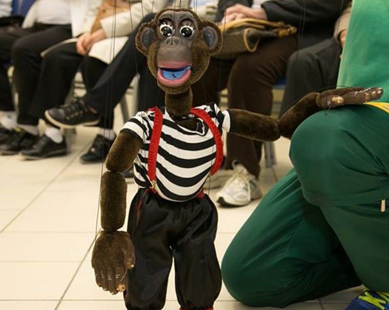 Macaco, lagarta, palhaço e bailarina mostram seus talentos em teatro de bonecos