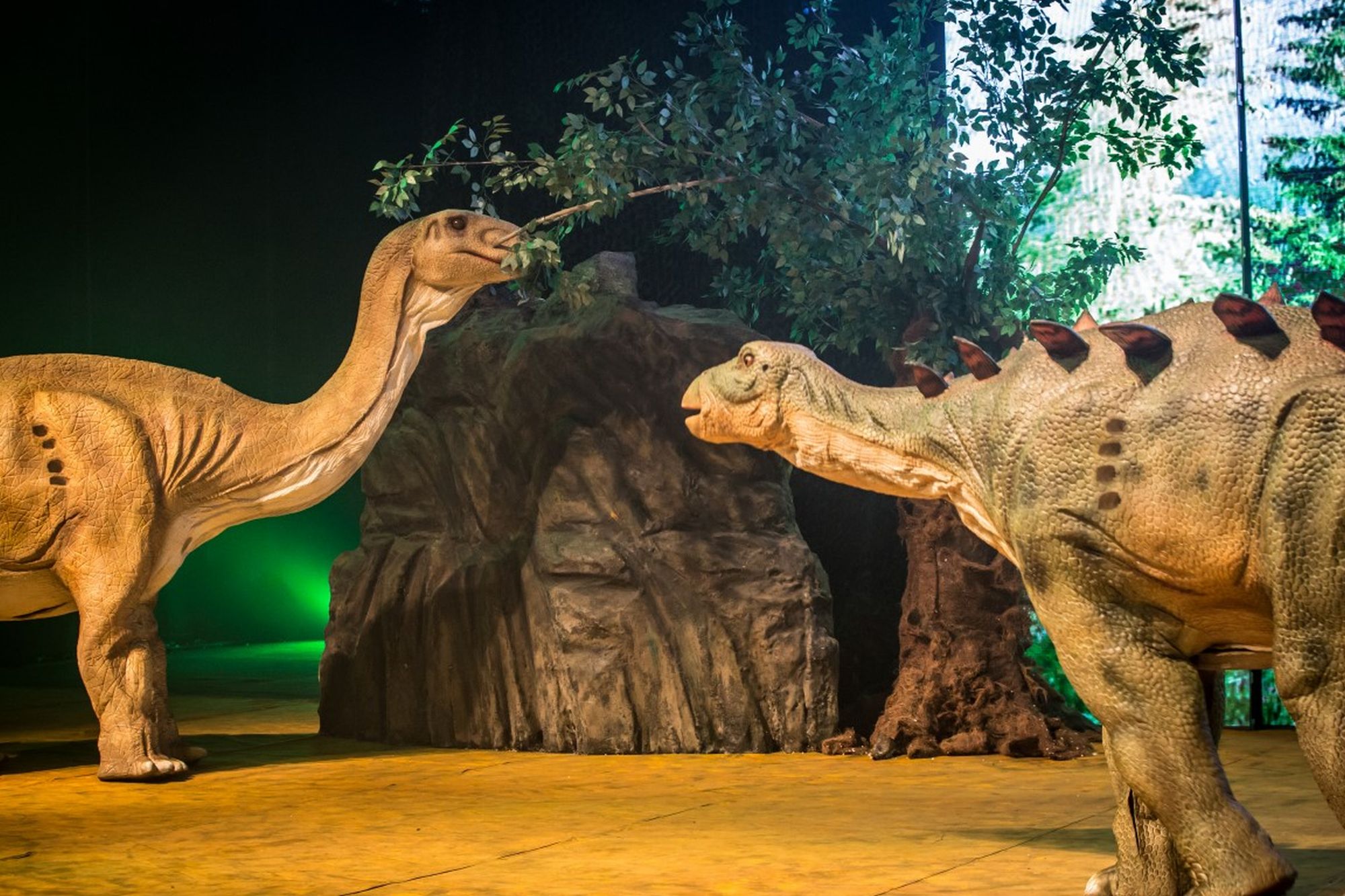 22 ideias de Dinossaur em 2023  dinossauros, arte com tema de