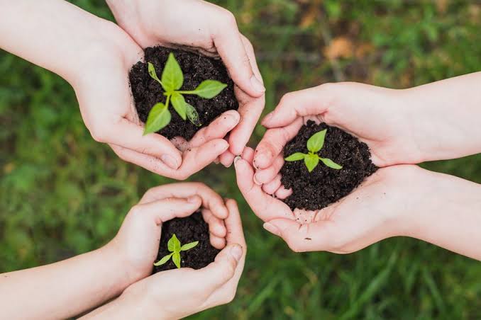 05 de Junho — Dia Mundial do Meio Ambiente