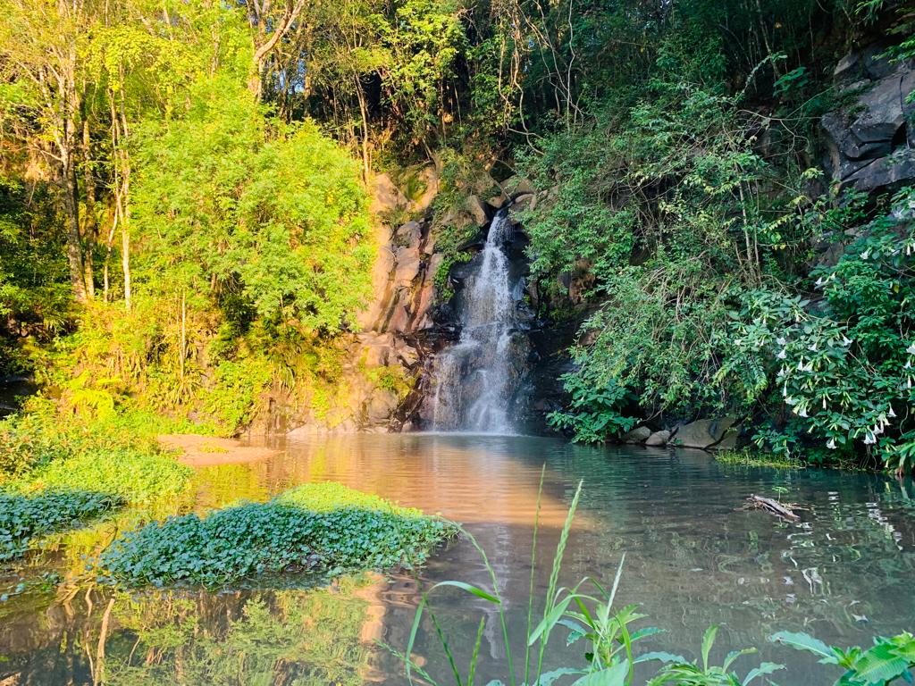 Parque Vista Alegre