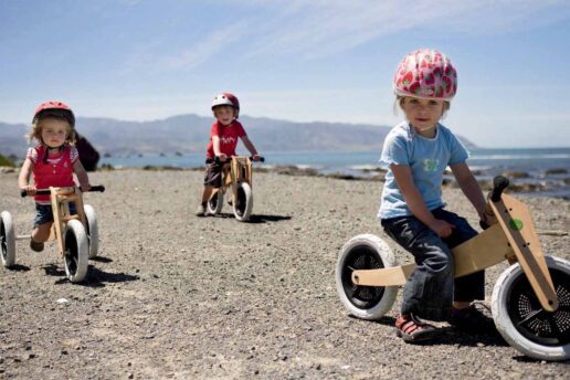 Bicicleta sustentável: brinquedo se ajusta ao desenvolvimento da criança