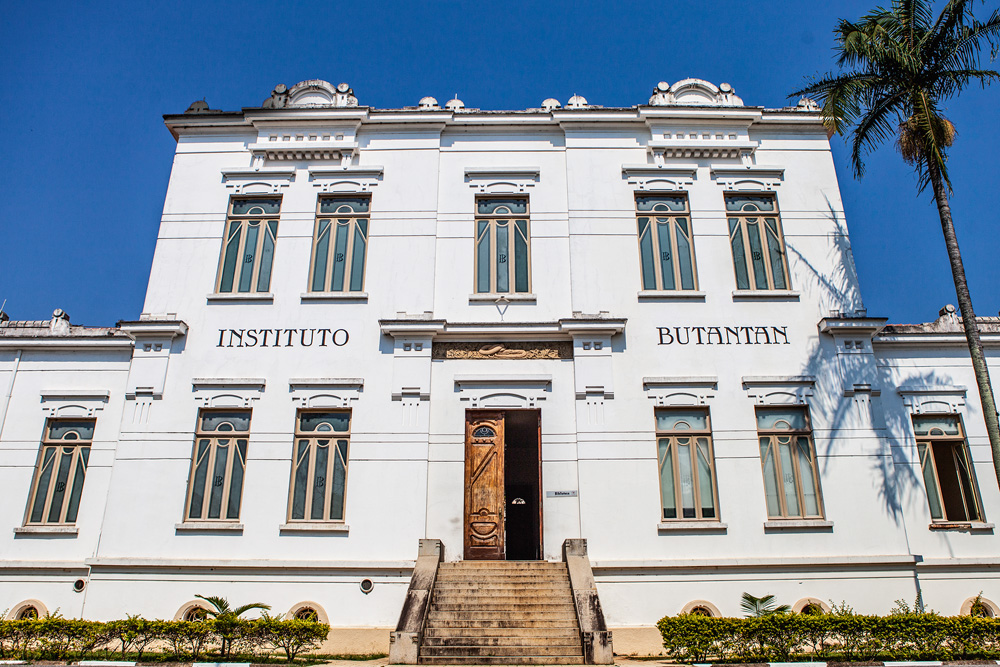 Instituto Butantan oferece programação virtual e gratuita de férias