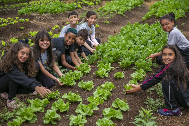 Fazenda Urbana tem dia dedicado às crianças no sábado
