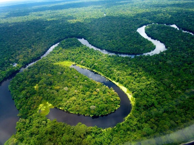 Iniciativa premiará projetos que contribuem com a preservação de florestas tropicais