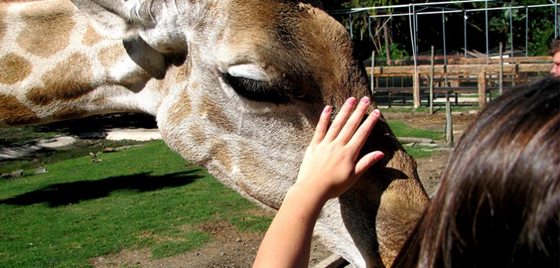 Educação ambiental para crianças no Zoológico de Curitiba