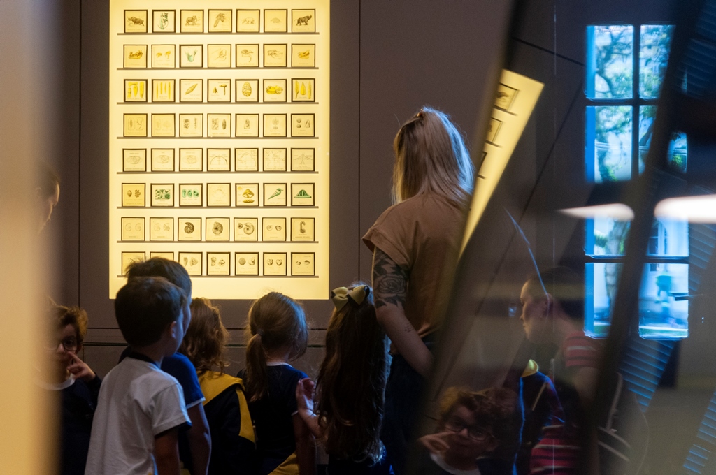 Museu Paranaense volta a oferecer visitas mediadas para grupos escolares