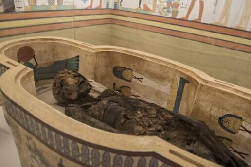 Feliz Dia da Múmia acontece neste sábado no Museu Egípcio