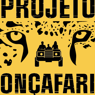 Onçafari lança jogo de cartas para as crianças conhecerem a fauna brasileira