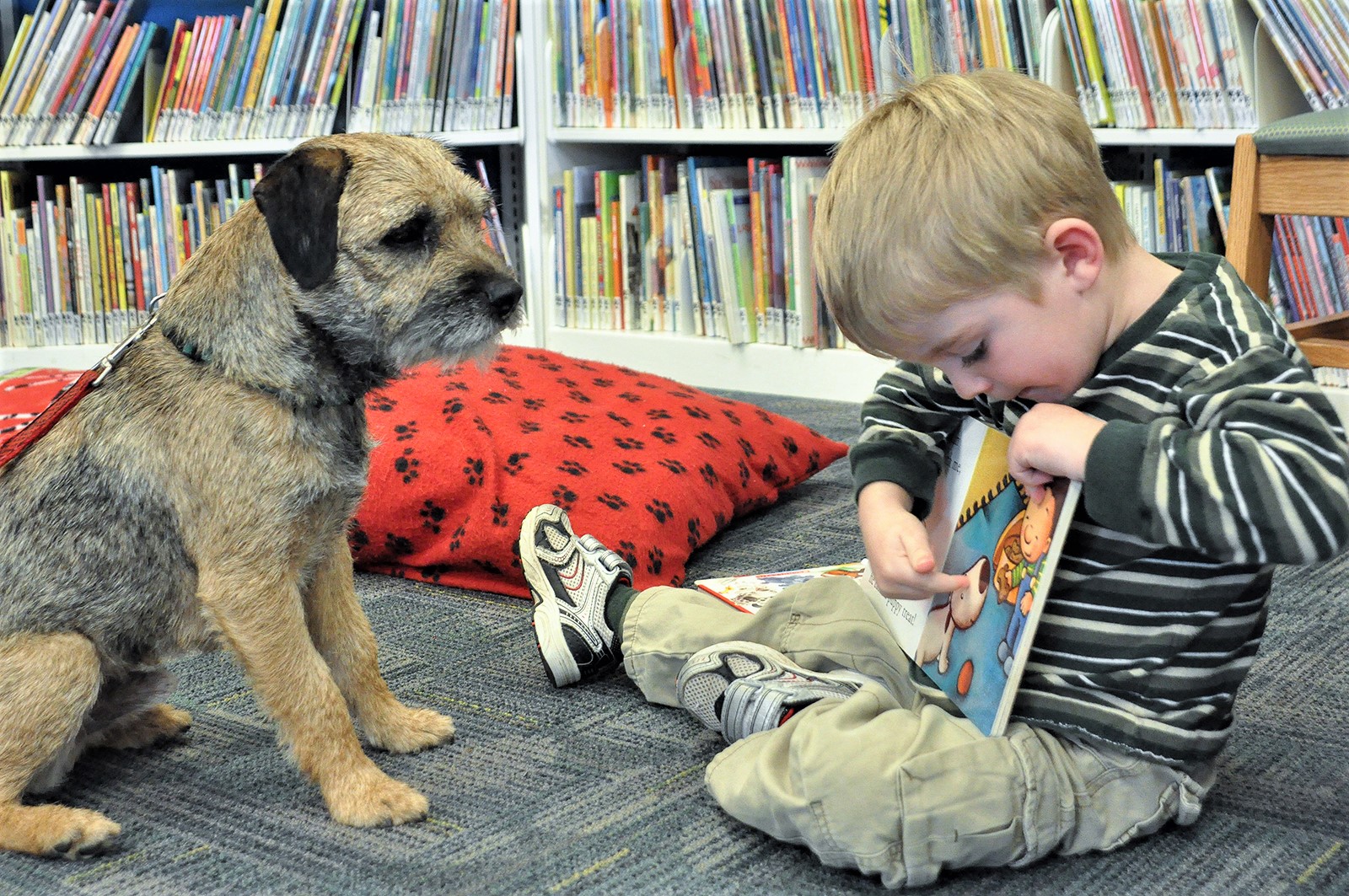 Roda de leitura assistida por cães na Biblioteca Pública