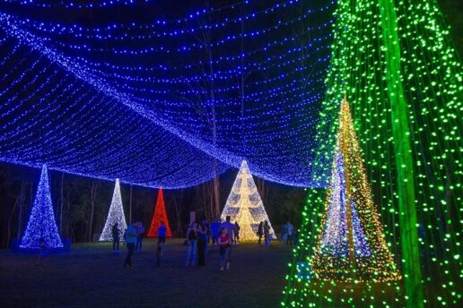 Rua Iluminada Família Moletta 2026 já tem data de estreia divulgada