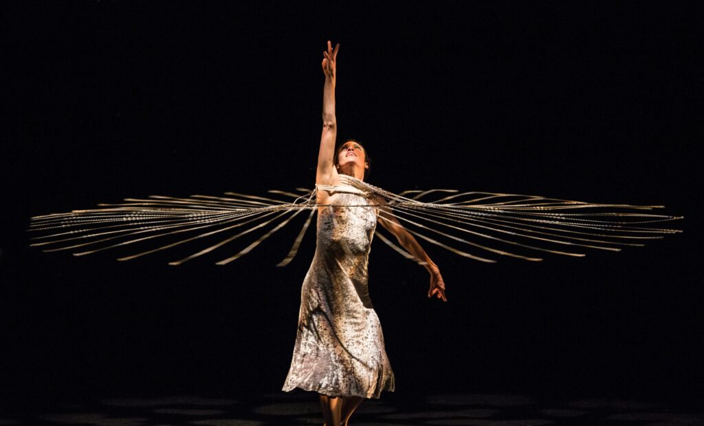 Momix, cia de dança contemporânea, em apresentação no Positivo