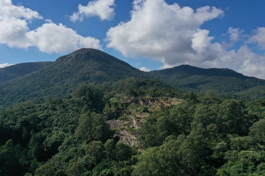 Mata Atlântica EcoFestival 2025: aventura, cinema e arte para toda a família