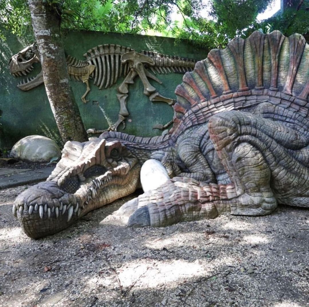 [FECHADO] Parque dos Dinossauros mantém valor promocional em Quatro Barras