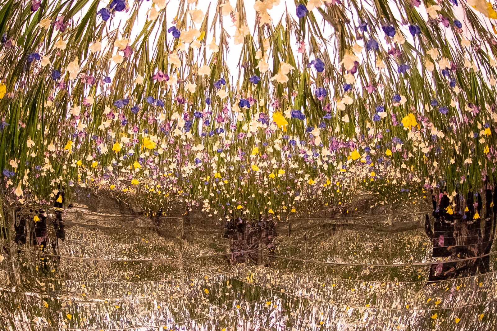 Últimos dias: Exposição sensorial e gratuita de Monet em Curitiba