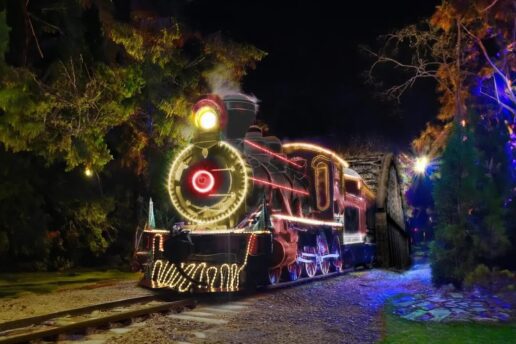 Passeio de Maria Fumaça Morretes Antonina de Natal