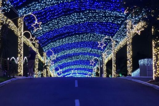 Rua Iluminada Família Moletta 2024 abre ao público em 16 de novembro