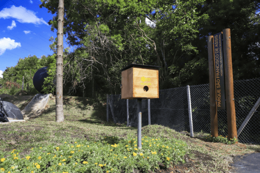 Novo parque de Curitiba é inaugurado no bairro Taboão