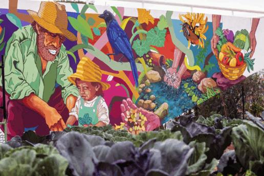 Artista da CIC, Paulo Auma cria painel para nova Fazenda Urbana de Curitiba