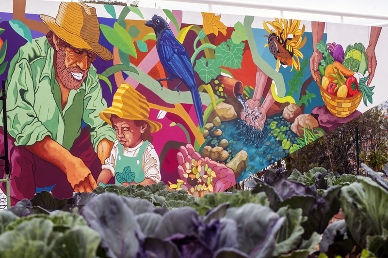 Artista da CIC, Paulo Auma cria painel para nova Fazenda Urbana de Curitiba