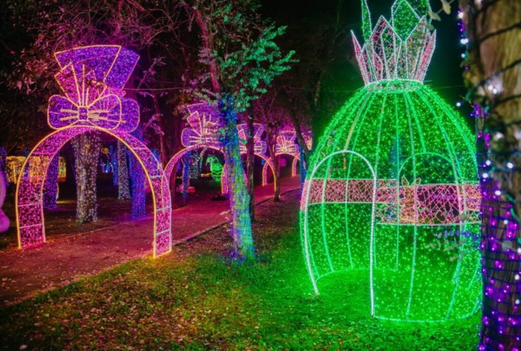 Bosque do Coelho em São José dos Pinhais