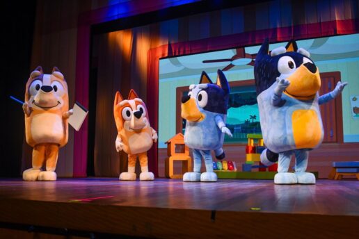 Bluey em Curitiba: capital recebe show oficial e inédito no Teatro Positivo
