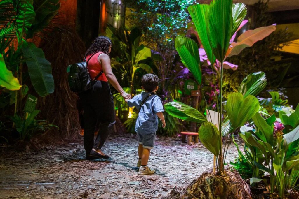 Exposição imersiva e sensorial gratuita na Caixa Cultural Curitiba