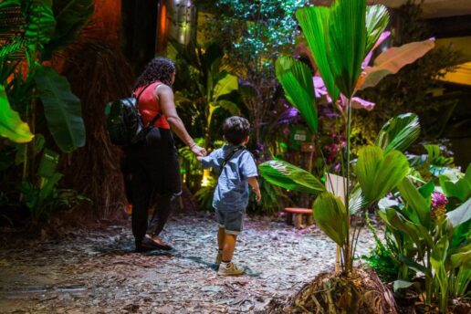 Exposição imersiva e sensorial gratuita na Caixa Cultural Curitiba