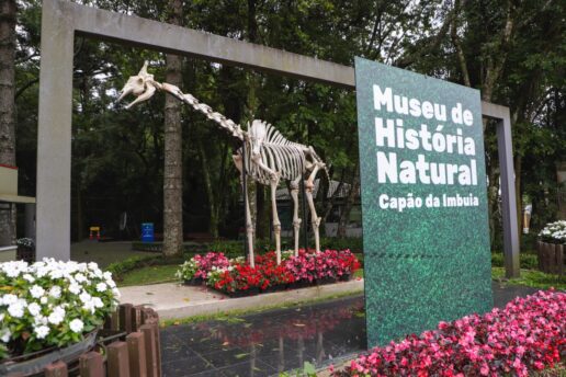Museu de História Natural Capão da Imbuia
